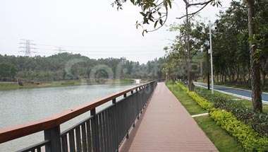 廣東省深圳龍崗神仙湖塑木棧道